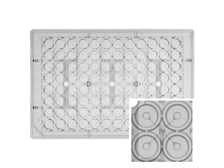 1CellPlate-96well