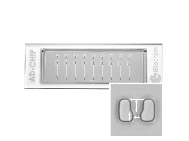 Automated Dissection Screening Chip