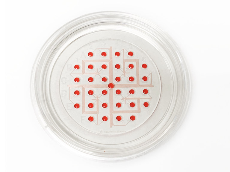 1CellDish-Glass Bottom - Image 2