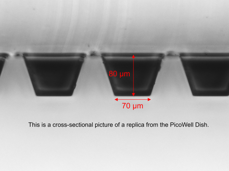 PicoWell Dish-72K Wells - Image 2