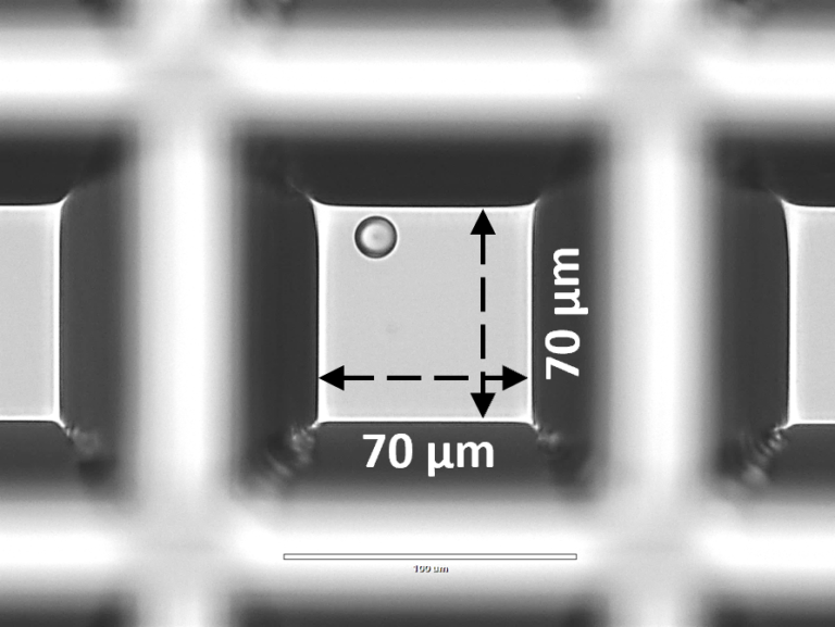 PicoWell Dish-72K Wells - Image 3