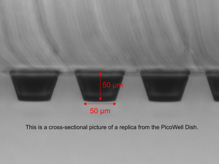 PicoWell Dish-160K Wells - Image 2