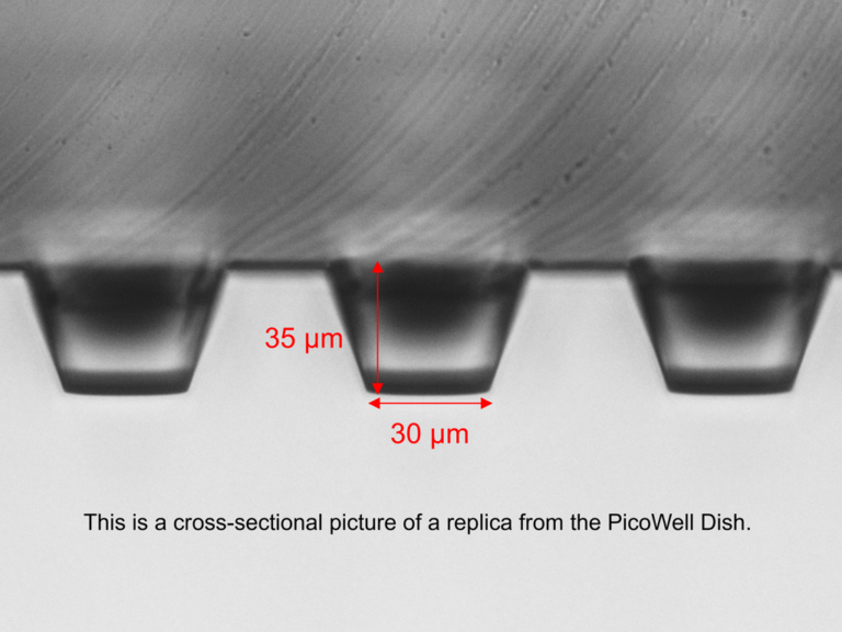 PicoWell Dish-300K Wells - Image 2